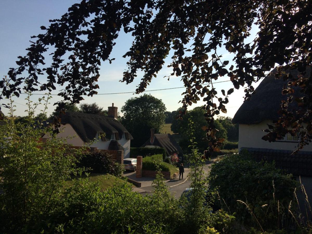 Guest Suite At 31 Little England Milborne Saint Andrew Esterno foto
