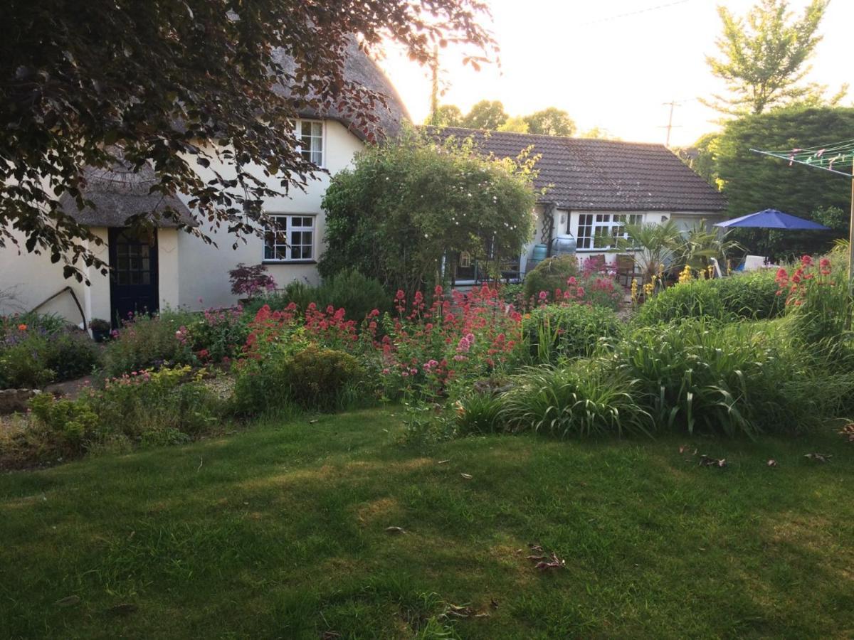Guest Suite At 31 Little England Milborne Saint Andrew Esterno foto